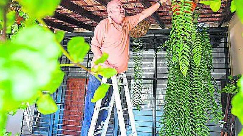 Foto de archivo de Francisco Suárez, presidente del colectivo Thenesor, regando las plantas que ha colocado en la balconada de la Casa de la Condesa que da al patio principal del complejo (Foto C7)